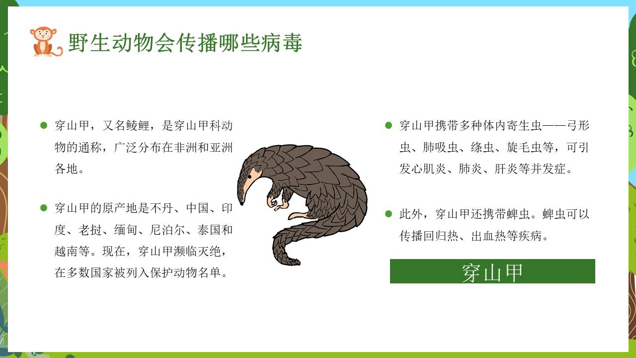 节日班会 (20).pptx